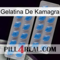 Kamagra Jelly 23